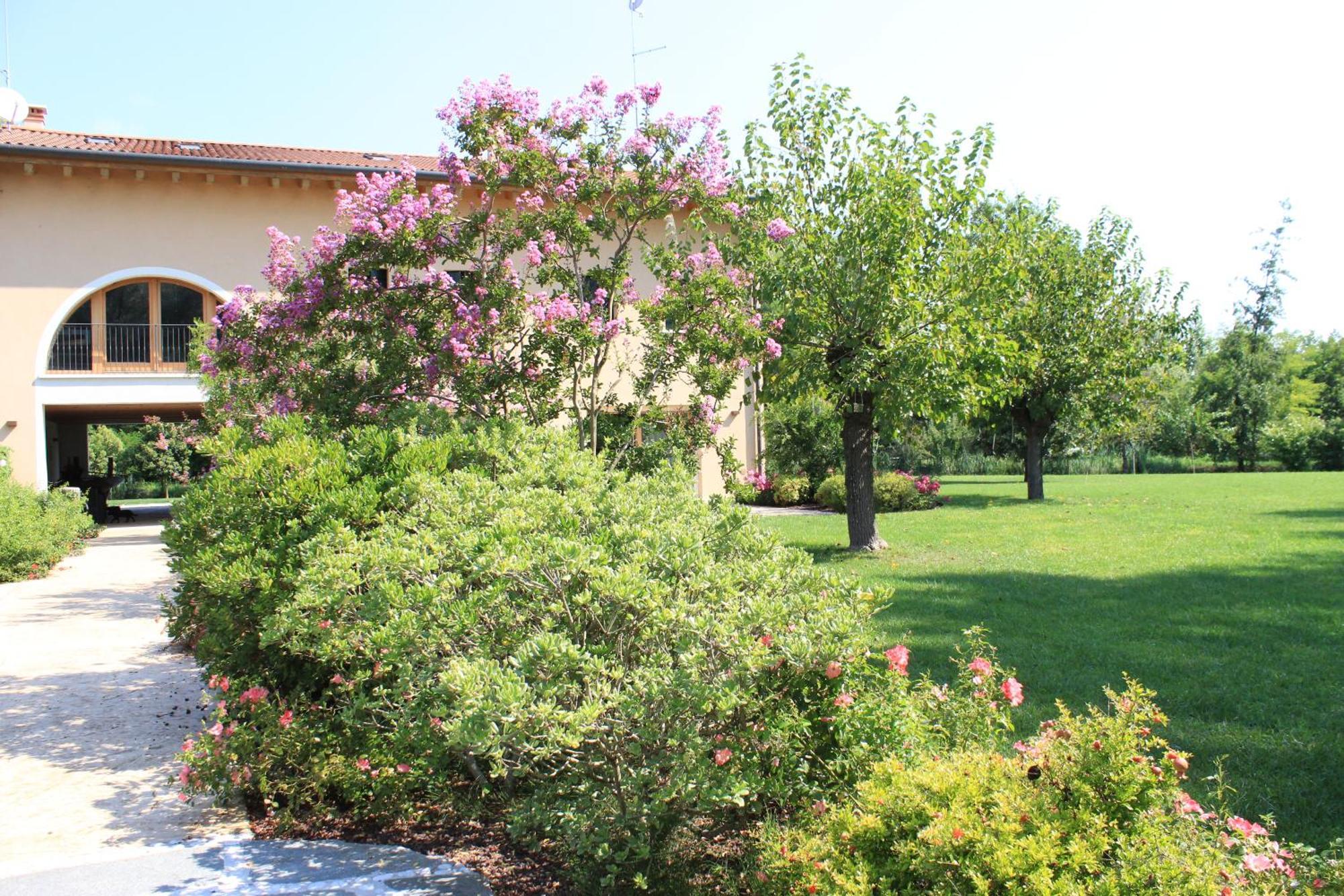 Morgano Ca' Del Sile Bed & Breakfast 部屋 写真